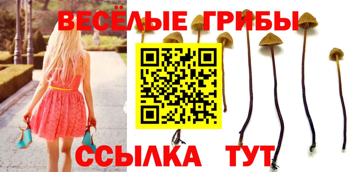 Минусинск  Псилоцибиновые грибы ЛСД  Галлюциногенные грибы Cubensis  Вход с VPN 
